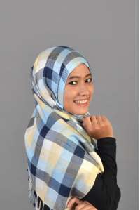 Pashmina khasmir Blue