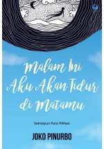 Malam Ini Aku Akan Tidur Di Matamu